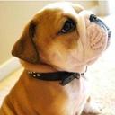 Thomas Rojas - @trojasarce - Twitter