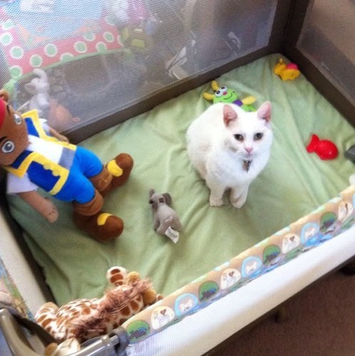 cjsmom14's profile picture. mom. wife. baseball. zoo photography. CPhT.