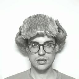 artist, professor, amateur mycologist