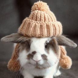 sweeeeeeeets_sw's profile picture. Я ебааанууутый на всю голову мууудак!