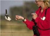 Conservationist (what does that mean anyways?!), Naturalist, Adventurist, Volunteer, Advocate of Environmental and Social Justice.