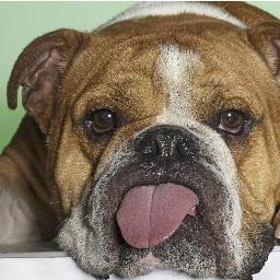 AlexanderFedche's profile picture. sashulaf@mail.ru