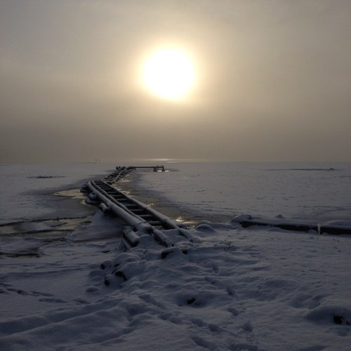 FrickMaria's profile picture. 