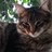 montee_ray's profile image