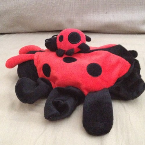 soccerl8y's profile picture. Storyteller. Wannabe crafter. Road tripper. Wrangler of two middle schoolers. Nigerian-American. Born & raised SF Bay Area dweller. She/Her.