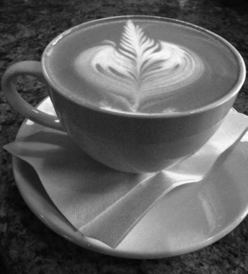 AncoraFitchburg's profile picture. We are a retail outlet of the best local coffee roaster in Madison!  We do coffee and great food all day.