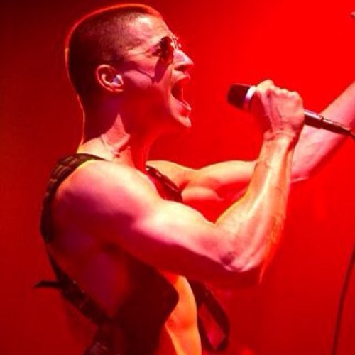 dongator's profile picture. 