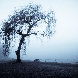 nasser_alrissi's profile picture. ‏‏‏أشهد أن لا إله إلا الله .. وأن محمد رسول الله


مدونتي  https://t.co/yYu1jzBYl2‎‎