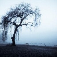 ناصر (@nasser_alrissi) Twitter profile photo