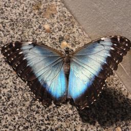 childrencollege's profile picture. Children's College in Slidell, Louisiana.-preschool and kindergarten. We teach phonics, mathematics, self-esteem, geography, Swahili, and Spanish.