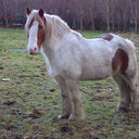 Naomi Murphy jamie♥x - @naomi_murphy13 - Twitter