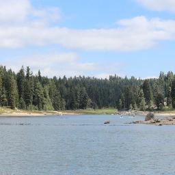 donnie1776's profile picture. 