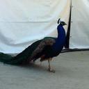 Andy Gibbons - @AndyAdventurer - Twitter