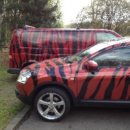 Foty2010's profile picture. 