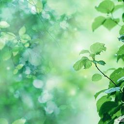 ByjuSTEngineer's profile picture. KOChi