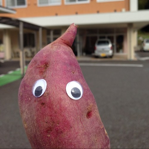 佐賀県嬉野市在住。 仕事は介護保険事業を平成15年からしてます。 趣味はバイクなどアウトドア系が好きですが。一時休止中です。 仕事に集中します。