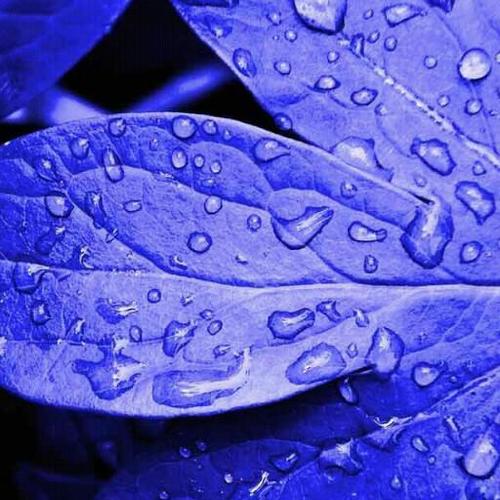 DombaLaundry's profile picture. segala macam bentuk pakaian,selimut,jeans,bed cover,boneka kecil maupun besar