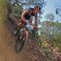 Shaun Lewis (@wombatlewis) 's Twitter Profile Photo