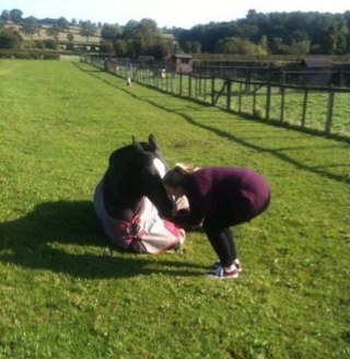Met @frankiecocozza on the 15/2/12 frankie followed on 6/11/12! Blue eyes, brown hair. My horse is my life.
