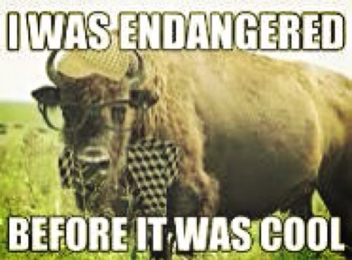 We're homegrown American Bison, hailing from a beautiful river, in search of liberty and meaning. But we'll settle for a good time.