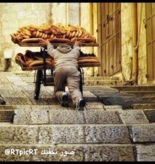 نغرد بالصور قديمة وجديدة ... نطوف العالم بالصور ونعرض لكم أجملها وأغربها ... بعضها مع معلومة وبعضها للتأمل ... #صور_تكفيك و #اللقطة_توقيت