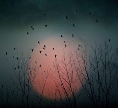 zuriwofmieghqec's profile picture. Were gay sorry girl but no thank u we look for guys!!