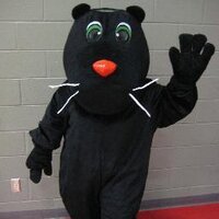 Paradise Elementary (@paradiseelem) 's Twitter Profile