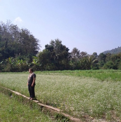 asiawatson's profile picture. 