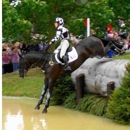 heelsandhorses's profile picture. 