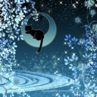 Media Tweets By 月夜のねこ Tsukiyononeko15 Twitter