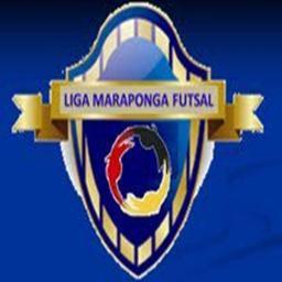 amigos que gostam E PRATICAM  futsal