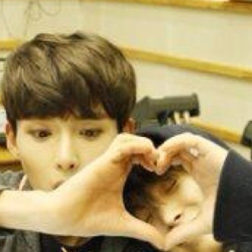 sungmin and ryeowook