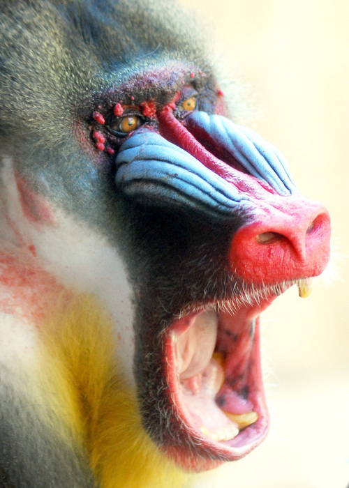 ksclay's profile picture. 