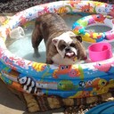 Susan Firth - @racersue - Twitter