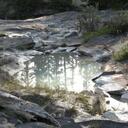 Tiffany Efird - @MutedWaters - Twitter