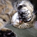 Marc Clarke - @VinceFarrant - Twitter