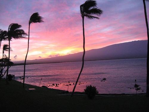 Oceanfront, Tropical Remodel, 180 Degree View, Great Location!