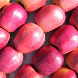 Fromitalyweb's profile picture. Our company offers practical support and professional service to all those who intend to buy fruit of Italian origin.
Apples, Pears and Kiwi.