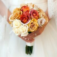 Todich Floral Design (@todichfloral) 's Twitter Profile