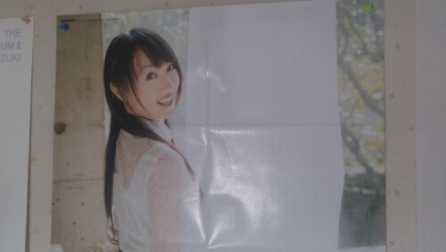 初めまして！多くの声優の方を知っていますが、中でも一番好きな声優は水樹奈々さんです！なので、水樹奈々さんの事が好きな方は是非フォローして下さい！