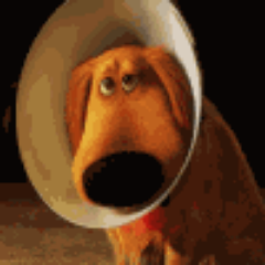 spbmoscow's profile picture. #ВзаимныйФолловинг #FollowBack #ЧитайМеня #ЧитаюВзаимно