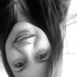 ZIK▲ DO B▲GUI !