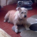 Mary Simmonds - @marysimmonds100 - Twitter