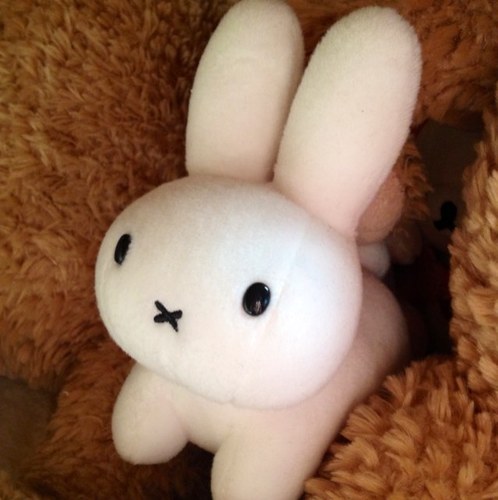 ニコニコ兎さんのプロフィール画像