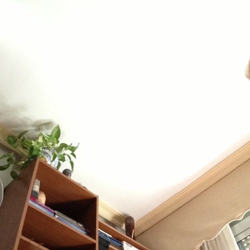 miguelferor's profile picture. 