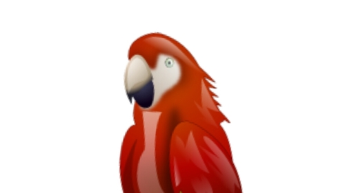 NervousParrot's profile picture. 