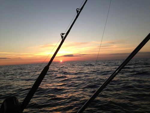 aficionado pesca professional. informacion sobre pesca ( cristian izquierdo)