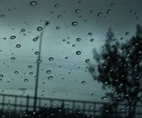 dolevMagovev's profile picture. חפדףץצצילפשא العربيه اس فاك יןץ