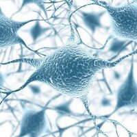 Neuropsicologia UN (@neuroun) 's Twitter Profile