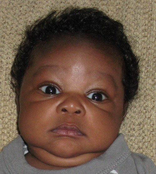 MrzHendry's profile picture. 